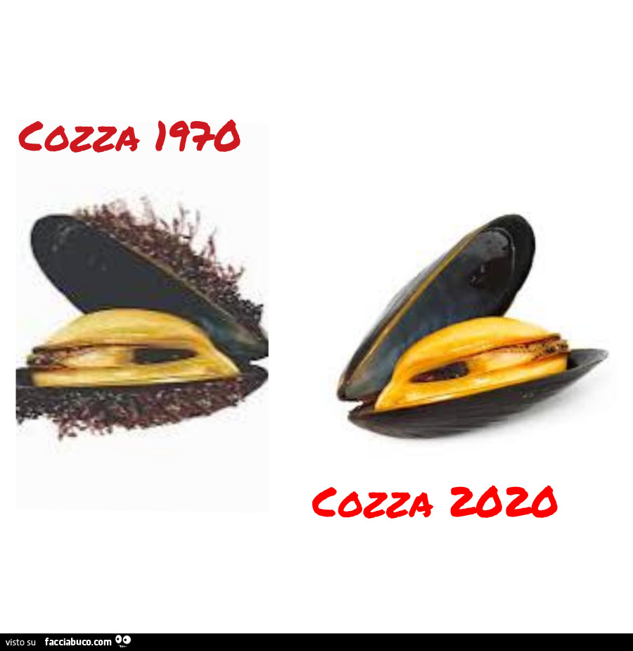Cozza 1970. Cozza 2020