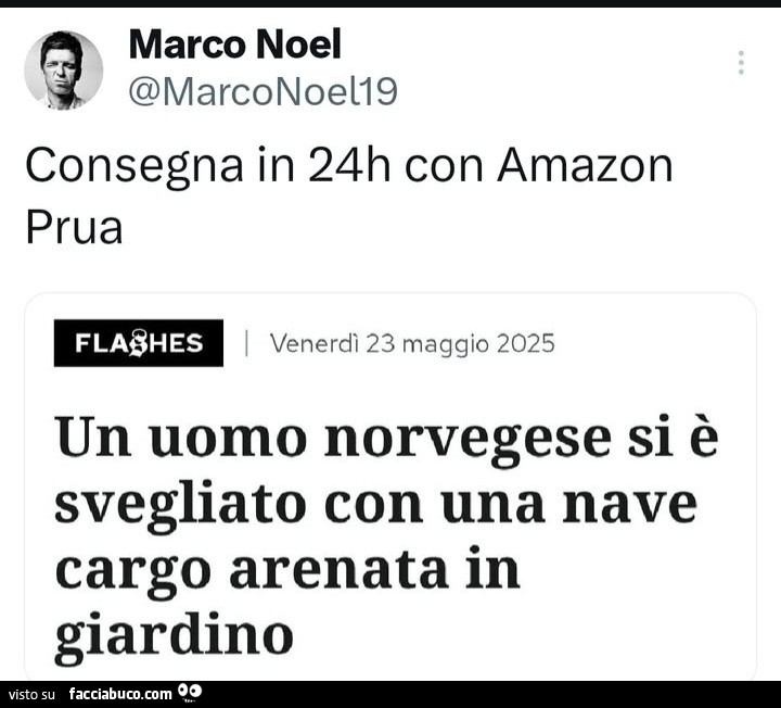 Consegna in 24h con amazon prua. Un uomo norvegese si è svegliato con una nave cargo arenata in giardino