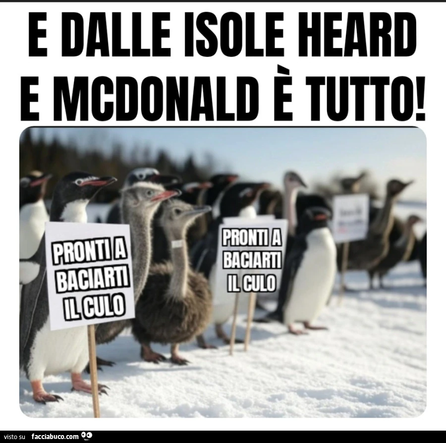 E dalle isole Heard e McDonald è tutto pronti a baciarti il culo pinguini trump donald