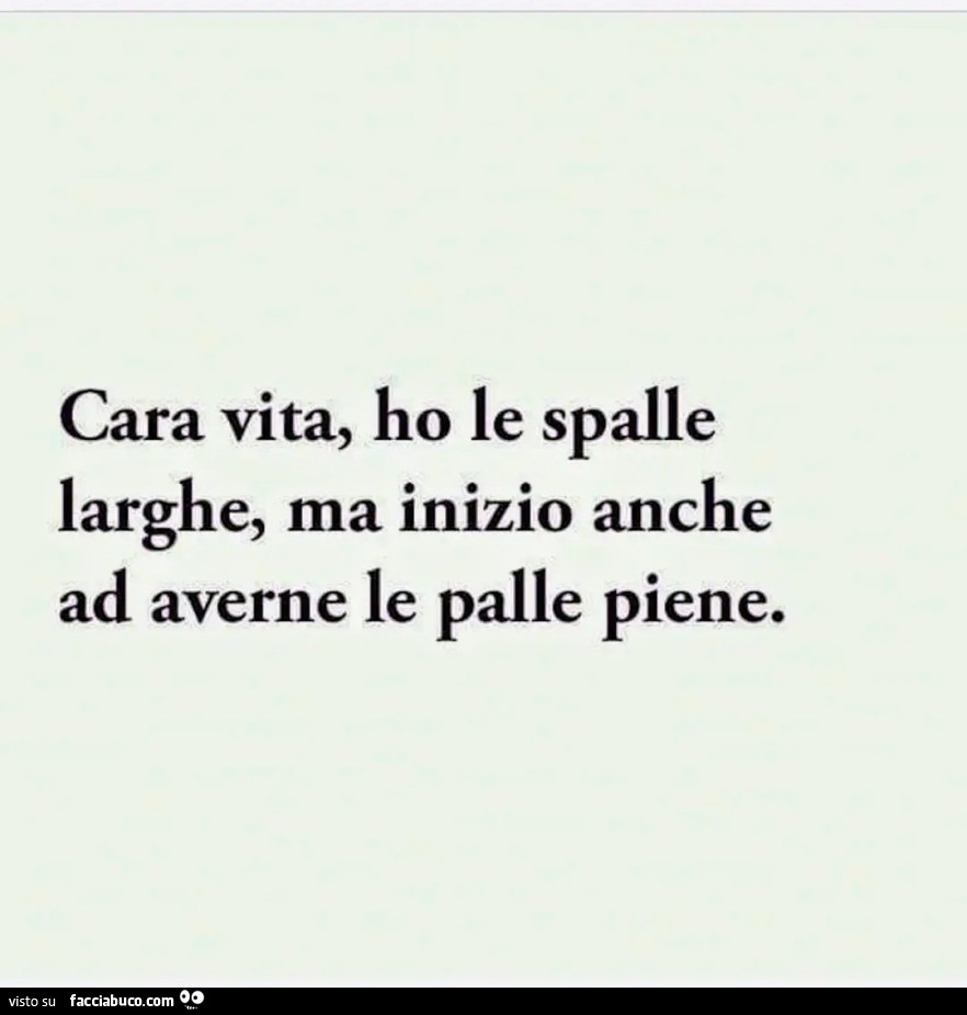 Cara vita, ho le spalle larghe, ma inizio anche ad averne le palle piene