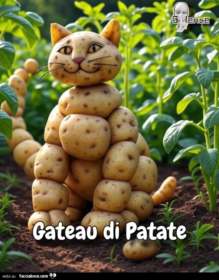 Gateau