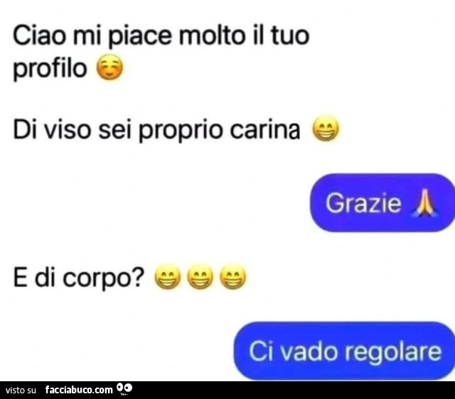 Ciao mi piace molto il tuo profilo di viso sei proprio carina. Grazie. E di corpo? Ci vado regolare