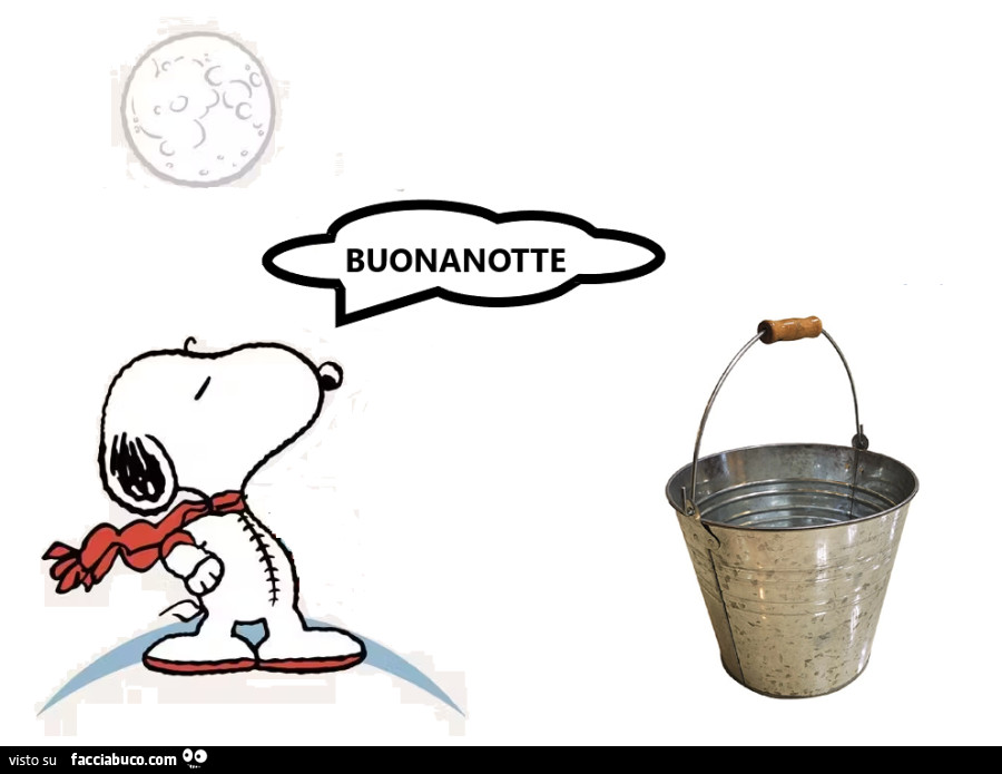 Snoopy Buonanotte al secchio