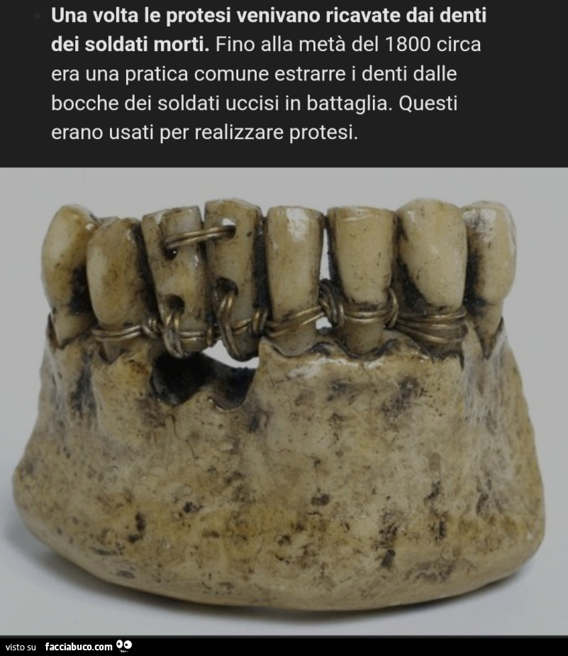Vaccata