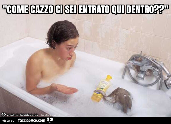"come cazzo ci sei entrato qui dentro? "