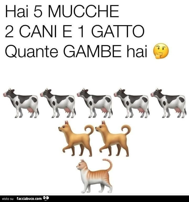 Hai 5 mucche 2 cani e 1 gatto quante gambe hai