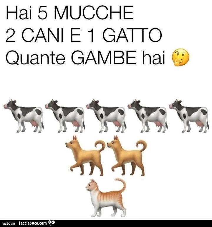 Hai 5 mucche 2 cani e 1 gatto quante gambe hai