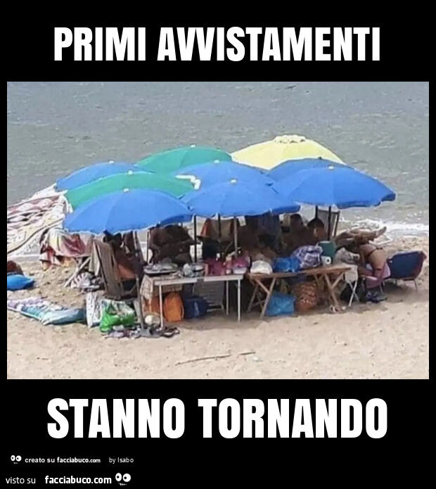 Primi avvistamenti stanno tornando spiaggia