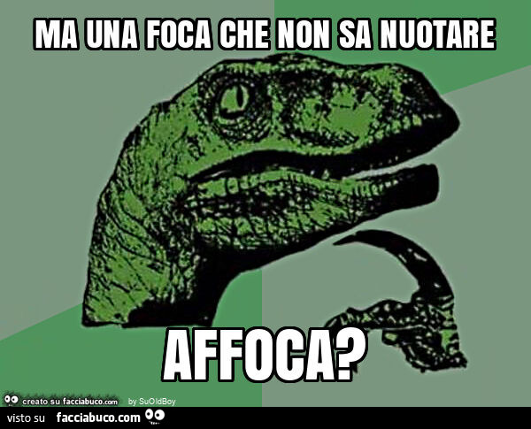 Ma una foca che non sa nuotare affoca?