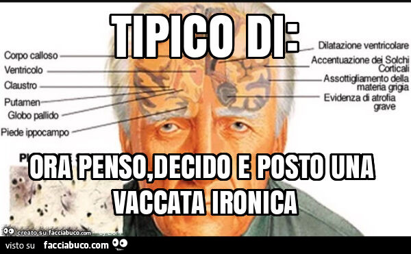 Tipico di: ora penso, decido e posto una vaccata ironica