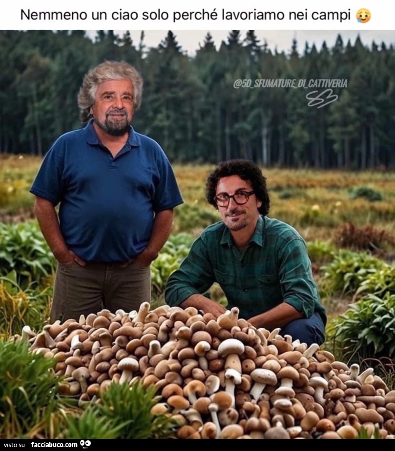 Nemmeno un ciao solo perchรฉ lavoriamo nei campi