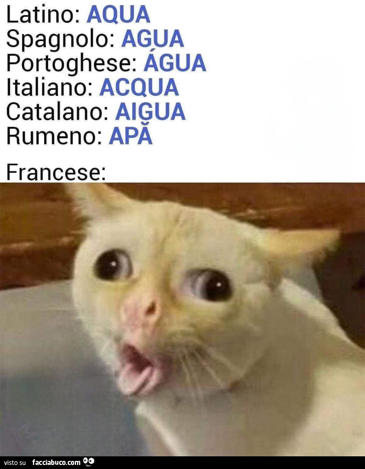 Acqua