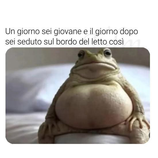 Ciccione