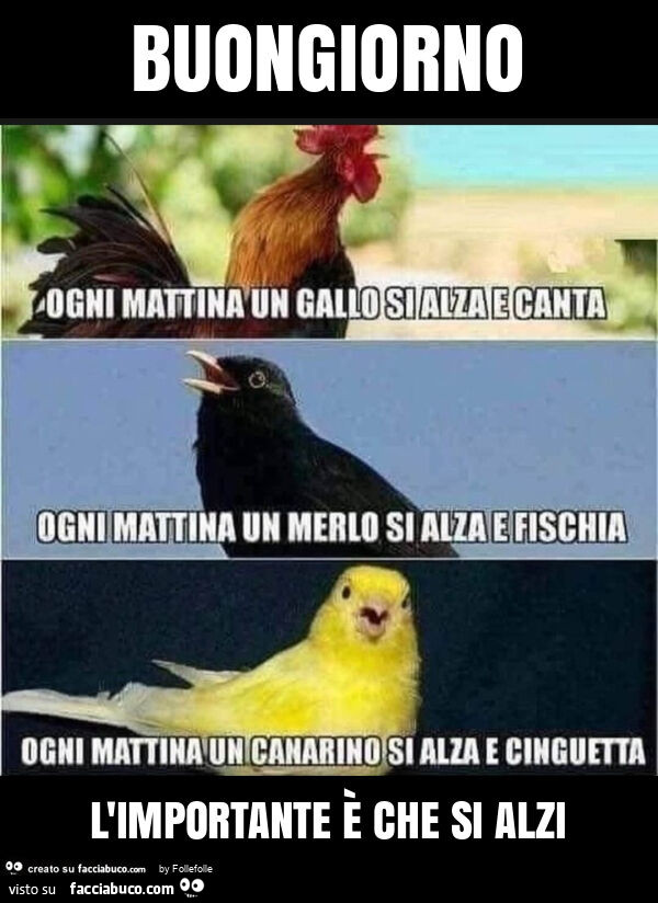 Buongiorno l'importante è che si alzi