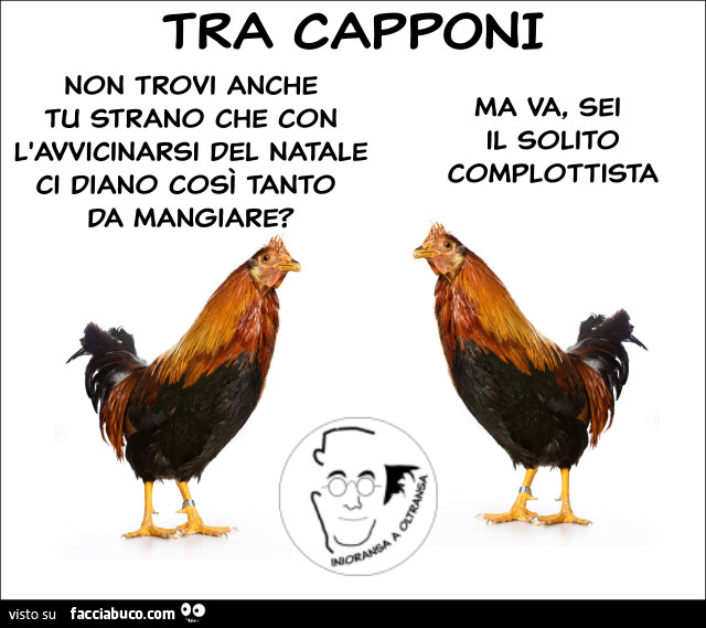 Tra capponi