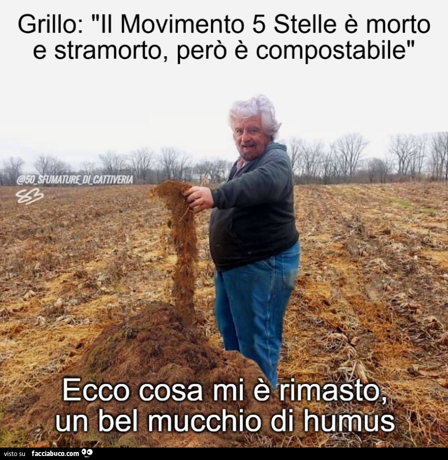 Ecco cosa mi è rimasto, un bel mucchio di humus