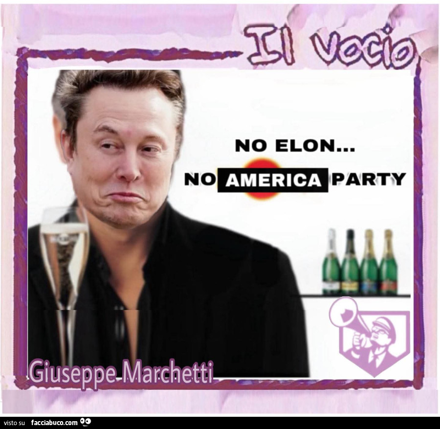 Musk america party