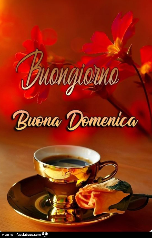 Buongiorno buona domenica