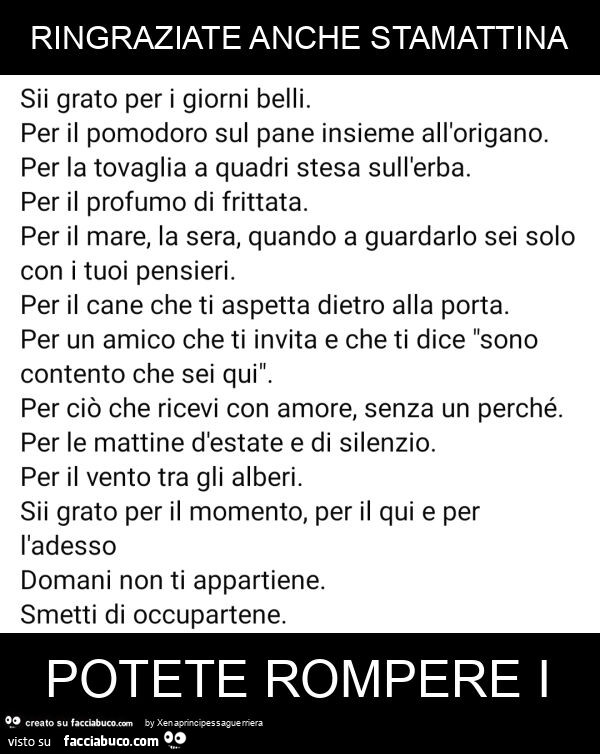 Ringraziate anche stamattina potete rompere i
