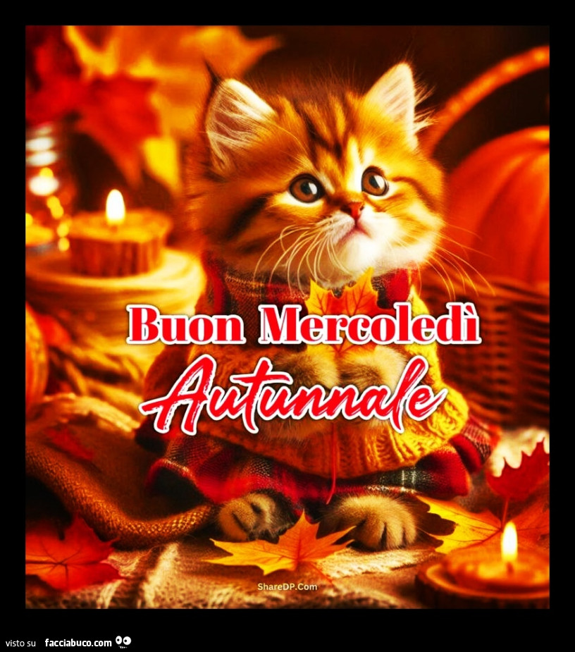 Buon Mercoledì autunnale