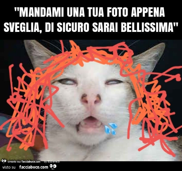 "mandami una tua foto appena sveglia, di sicuro sarai bellissima"