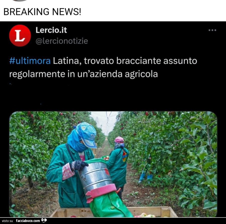Vaccata