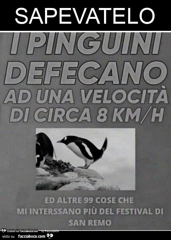 Sapevatelo