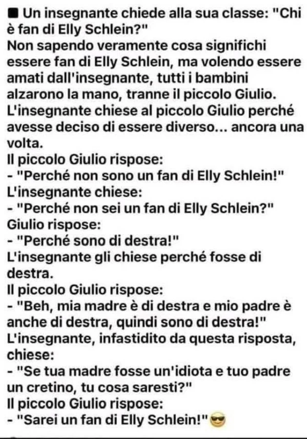 Fan di Elly Schlein
