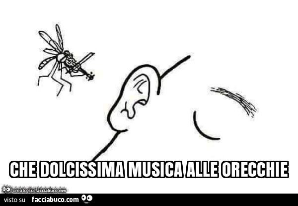 Che dolcissima musica alle orecchie