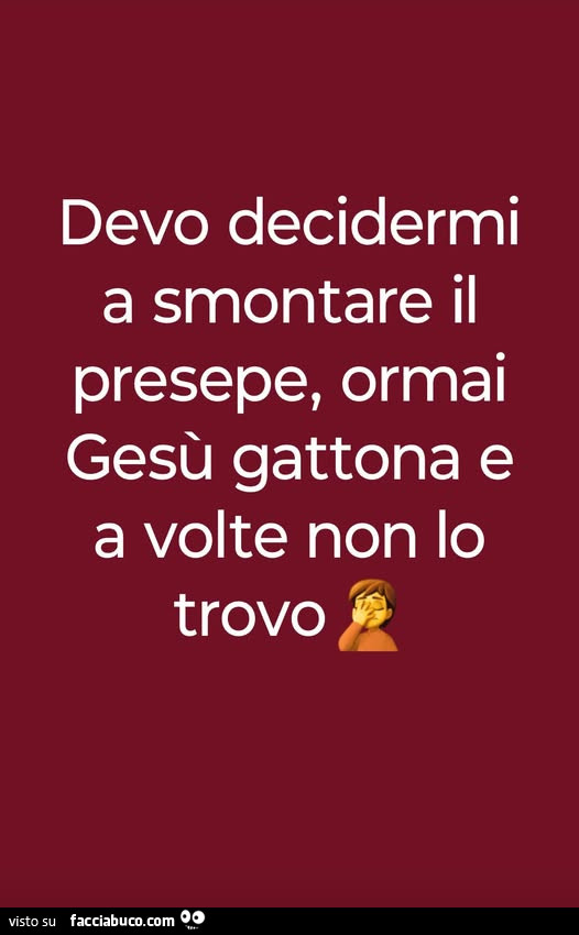 Devo decidermi a smontare il presepe, ormai gesù gattona e a volte non lo trovo