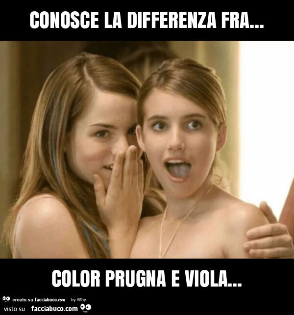 Conosce la differenza fra… color prugna e viola