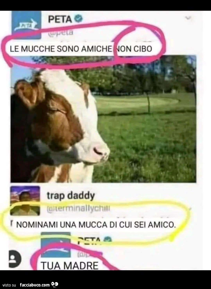 Vaccata