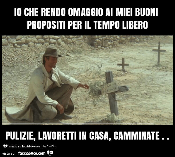 Io che rendo omaggio ai miei buoni propositi per il tempo libero pulizie, lavoretti in casa, camminate