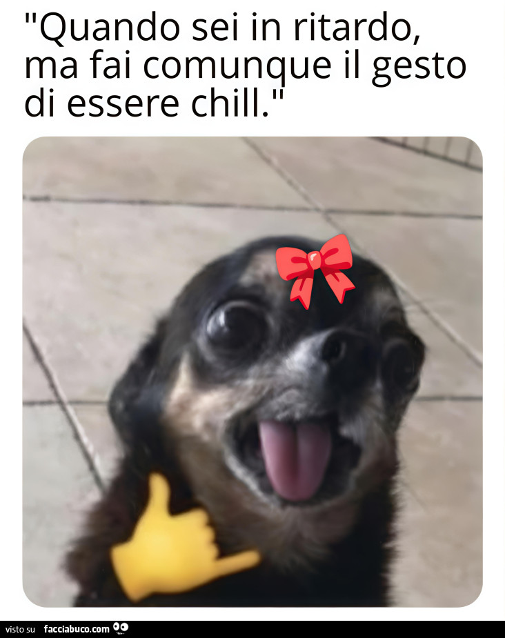 Vaccata