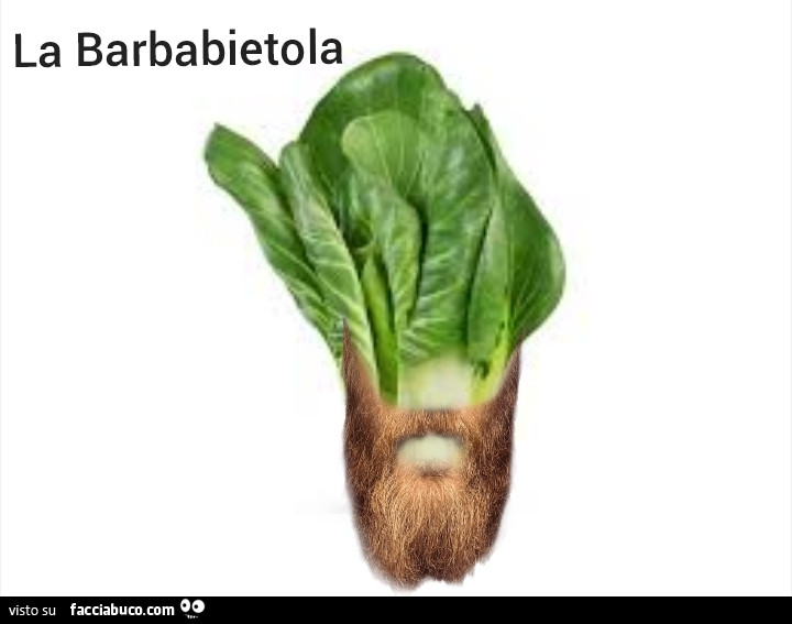 La barbabietola