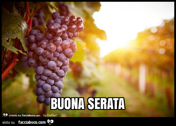 Buona serata