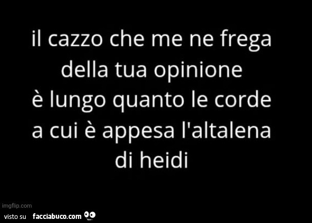 Il cazzo che me ne frega della tua opinione è lungo quanto le corde a cui è appesa l'altalena di heidi