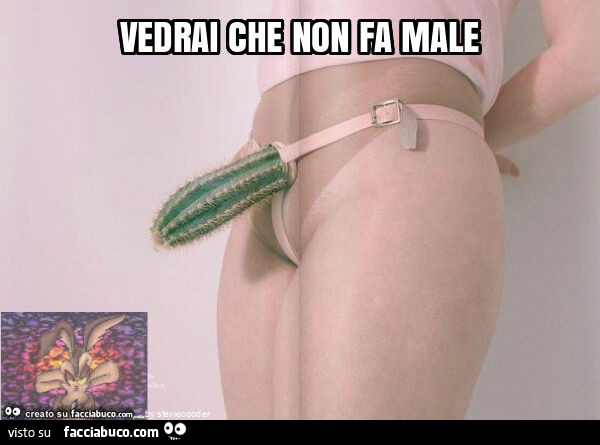 Vedrai che non fa male