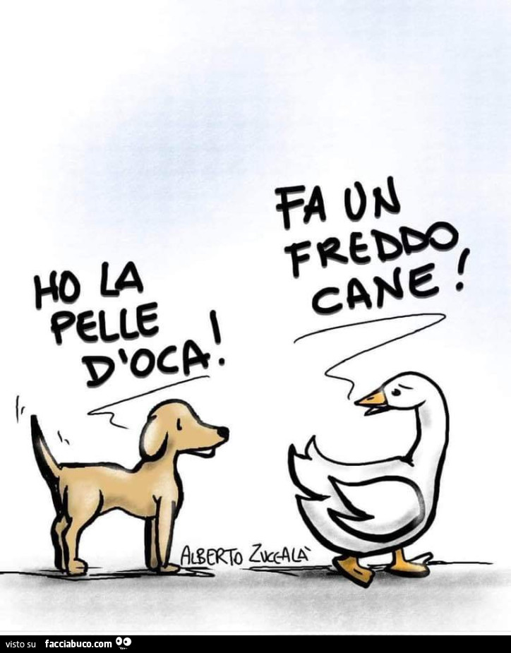 Ho la pelle d'oca! Fa un freddo cane