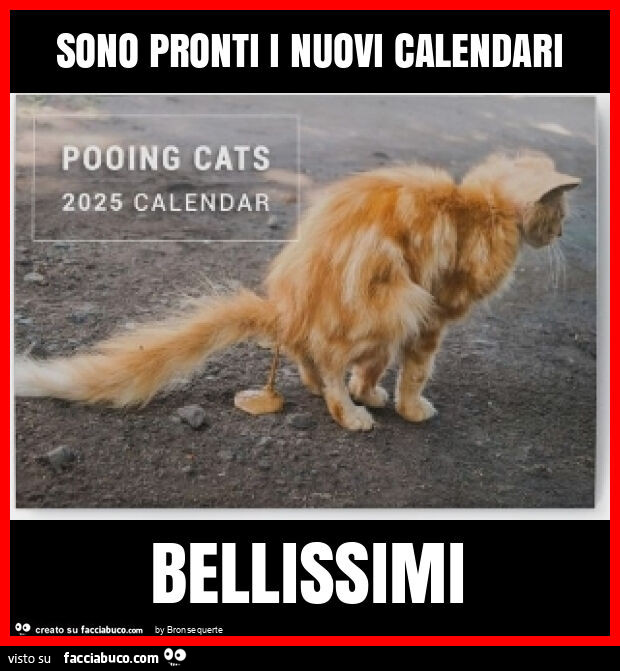 Sono pronti i nuovi calendari bellissimi