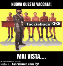 Vaccata