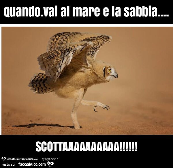 Quando. Vai al mare e la sabbia… scottaaaaaaaaaa