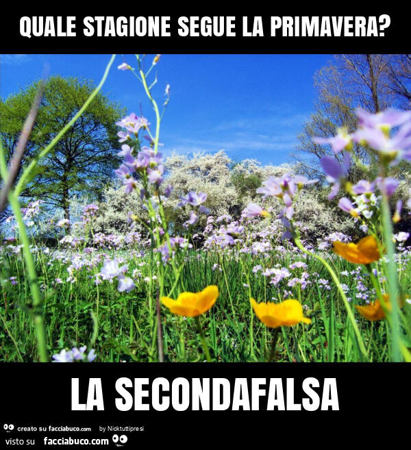 Quale stagione segue la primavera? La secondafalsa