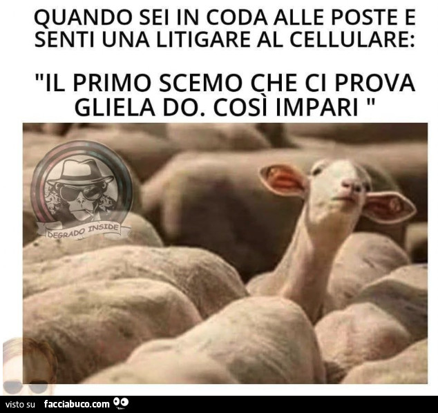 Vaccata