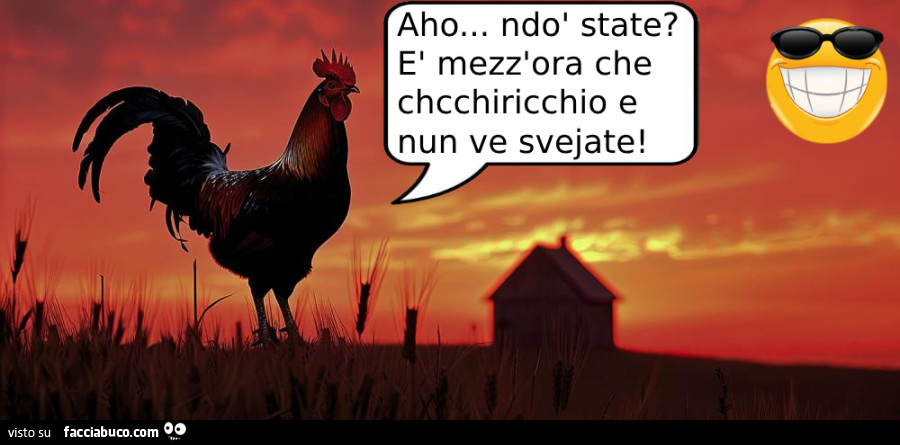 Aho… ndo state? E mezz'ora che chcchiricchio e nun ve svejate