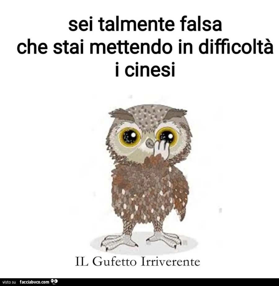 Sei talmente falsa che stai mettendo in difficoltà i cinesi