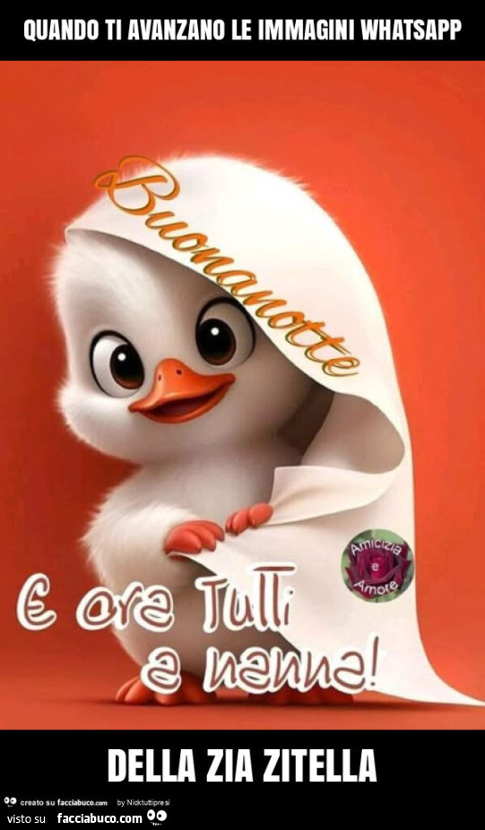 Quando ti avanzano le immagini whatsapp della zia zitella