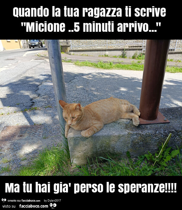 Quando la tua ragazza ti scrive "micione. 5 minuti arrivo… " ma tu hai già perso le speranze