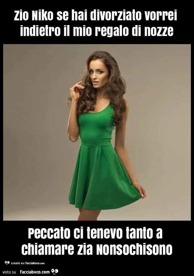 Zio niko se hai divorziato vorrei indietro il mio regalo di nozze peccato ci tenevo tanto a chiamare zia nonsochisono