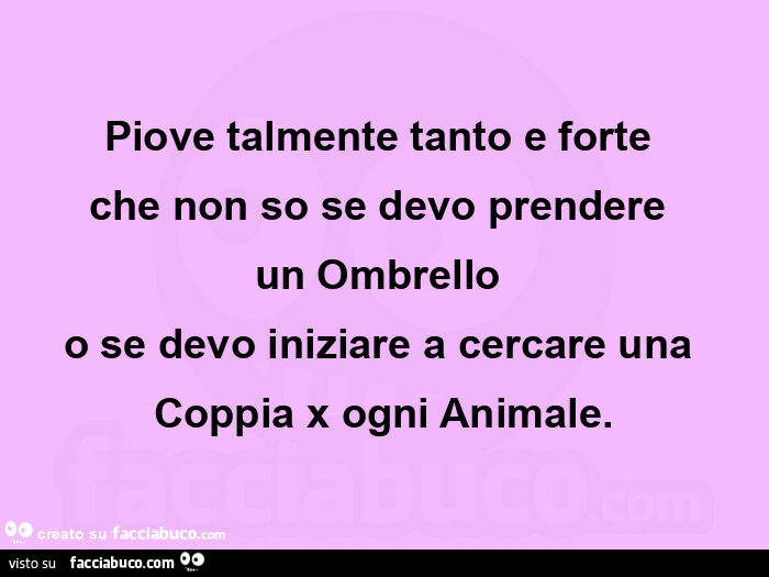 Piove talmente tanto e forte  che non so se devo prendere  un ombrello  o se devo iniziare a cercare una  coppia x ogni animale